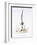 The Hasty Asparagus, from 'L'Empire Des Legumes, Memoires De Curcurbitus'-Amedee Varin-Framed Premium Giclee Print