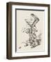 The Hatter-John Tenniel-Framed Art Print