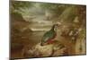 The Haunt of the Kingfisher (Oil on Canvas)-John Wainwright-Mounted Giclee Print