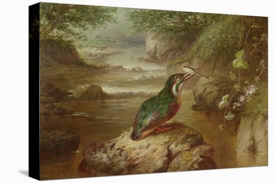 The Haunt of the Kingfisher (Oil on Canvas)-John Wainwright-Stretched Canvas