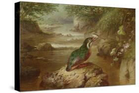 The Haunt of the Kingfisher (Oil on Canvas)-John Wainwright-Stretched Canvas