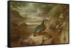 The Haunt of the Kingfisher (Oil on Canvas)-John Wainwright-Framed Stretched Canvas