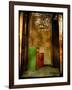 The Haunted House-Cristina Carra Caso-Framed Photographic Print