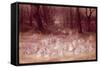 The Haunted Park-Richard Doyle-Framed Stretched Canvas
