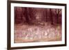 The Haunted Park-Richard Doyle-Framed Giclee Print