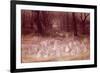 The Haunted Park-Richard Doyle-Framed Giclee Print