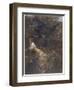 The Haunted Wood C1903-Arthur Rackham-Framed Photographic Print