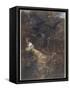 The Haunted Wood C1903-Arthur Rackham-Framed Stretched Canvas