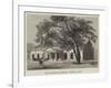 The Havelock Memorial Chapel-null-Framed Giclee Print