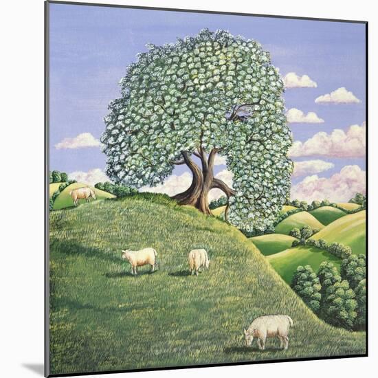 The Hawthorn Tree, 1981-Liz Wright-Mounted Giclee Print