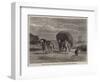 The Hay-Cart-Constant-emile Troyon-Framed Giclee Print