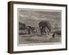 The Hay-Cart-Constant-emile Troyon-Framed Giclee Print