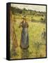 The Haymaker (La Faneuse). 1884-Camille Pissarro-Framed Stretched Canvas