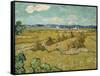 The Haystacks-Vincent van Gogh-Framed Stretched Canvas