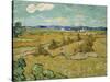 The Haystacks-Vincent van Gogh-Stretched Canvas