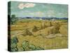 The Haystacks-Vincent van Gogh-Stretched Canvas