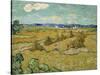 The Haystacks-Vincent van Gogh-Stretched Canvas