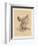 The Head and Neck. Internal Carotid and Ascending Pharyngeal Arteries, and Cranial Nerves in the…-G. H. Ford-Framed Giclee Print