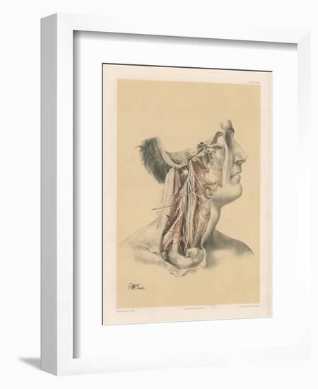 The Head and Neck. Internal Carotid and Ascending Pharyngeal Arteries, and Cranial Nerves in the…-G. H. Ford-Framed Giclee Print