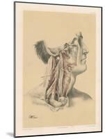 The Head and Neck. Internal Carotid and Ascending Pharyngeal Arteries, and Cranial Nerves in the…-G. H. Ford-Mounted Giclee Print
