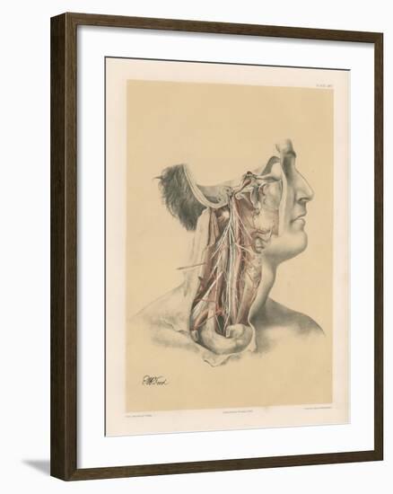 The Head and Neck. Internal Carotid and Ascending Pharyngeal Arteries, and Cranial Nerves in the…-G. H. Ford-Framed Giclee Print