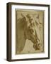 The Head and Neck of a Horse-Parmigianino-Framed Giclee Print