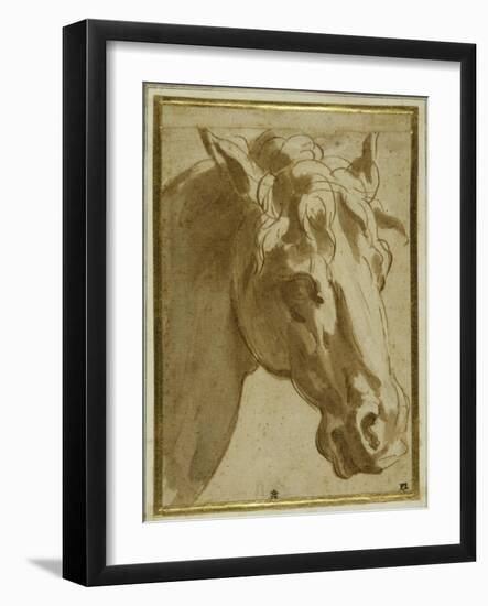 The Head and Neck of a Horse-Parmigianino-Framed Giclee Print