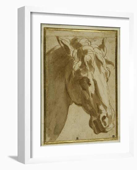 The Head and Neck of a Horse-Parmigianino-Framed Giclee Print