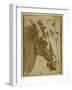 The Head and Neck of a Horse-Parmigianino-Framed Giclee Print