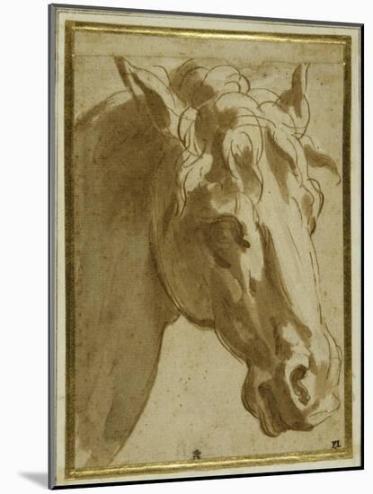 The Head and Neck of a Horse-Parmigianino-Mounted Giclee Print