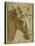 The Head and Neck of a Horse-Parmigianino-Stretched Canvas