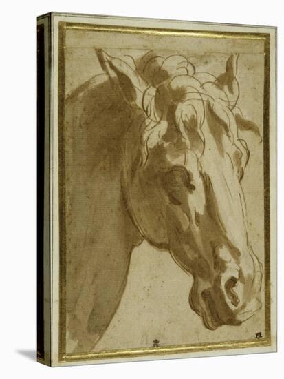 The Head and Neck of a Horse-Parmigianino-Stretched Canvas