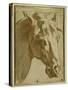 The Head and Neck of a Horse-Parmigianino-Stretched Canvas