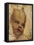 The Head of a Child, a Fragment-Correggio-Framed Stretched Canvas