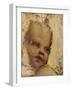 The Head of a Child, a Fragment-Correggio-Framed Giclee Print