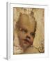 The Head of a Child, a Fragment-Correggio-Framed Giclee Print