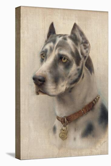 The Head of a Doberman-Wilhelm Schwar-Stretched Canvas