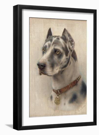 The Head of a Doberman-Wilhelm Schwar-Framed Giclee Print