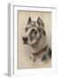 The Head of a Doberman-Wilhelm Schwar-Framed Giclee Print