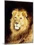 The Head of a Lion-Geza Vastagh-Mounted Giclee Print