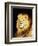 The Head of a Lion-Geza Vastagh-Framed Giclee Print