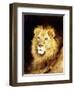 The Head of a Lion-Geza Vastagh-Framed Giclee Print