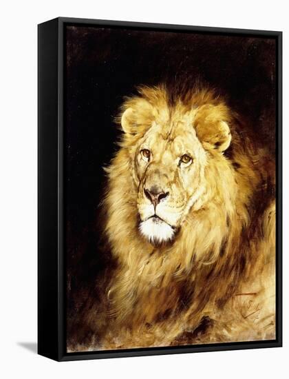 The Head of a Lion-Geza Vastagh-Framed Stretched Canvas