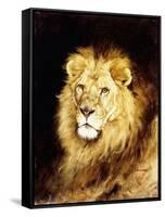 The Head of a Lion-Geza Vastagh-Framed Stretched Canvas