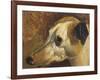 The Head Of A Whippet-Edwin Landseer-Framed Giclee Print