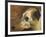 The Head Of A Whippet-Edwin Landseer-Framed Giclee Print