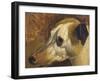 The Head Of A Whippet-Edwin Landseer-Framed Giclee Print