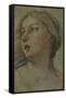 The Head of a Woman Turned to the Left-Francesco Albani-Framed Stretched Canvas