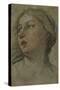 The Head of a Woman Turned to the Left-Francesco Albani-Stretched Canvas