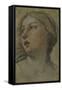 The Head of a Woman Turned to the Left-Francesco Albani-Framed Stretched Canvas